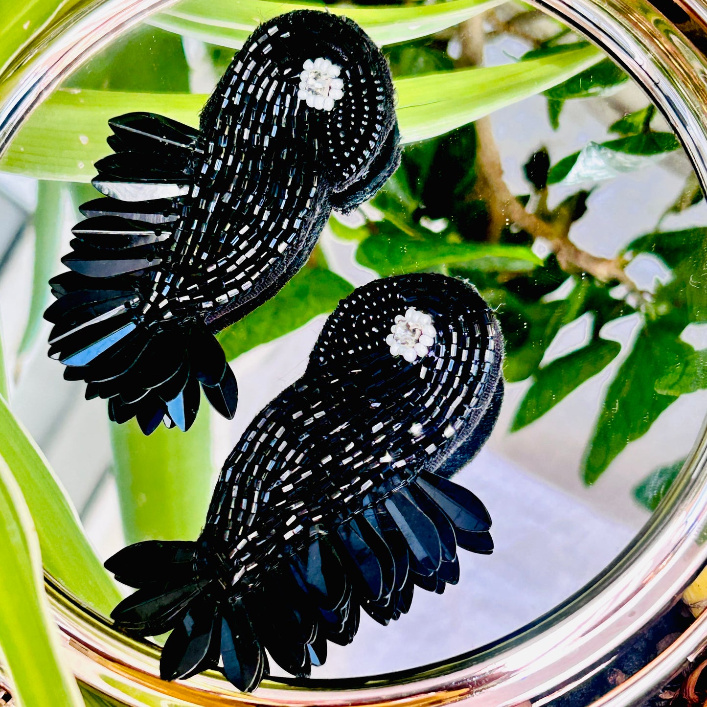 Black Bird